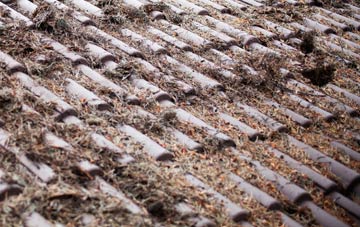 Clynnog Fawr roof cleaning companies